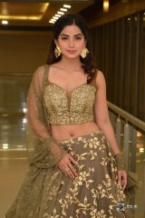 Kashmira at Nartanasala Pre Release Event